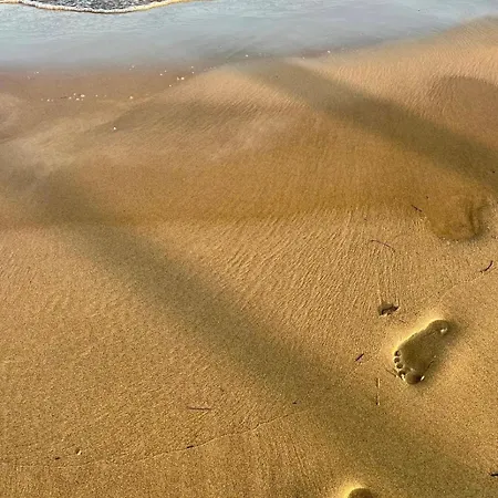 Paradise House & Garden Villa